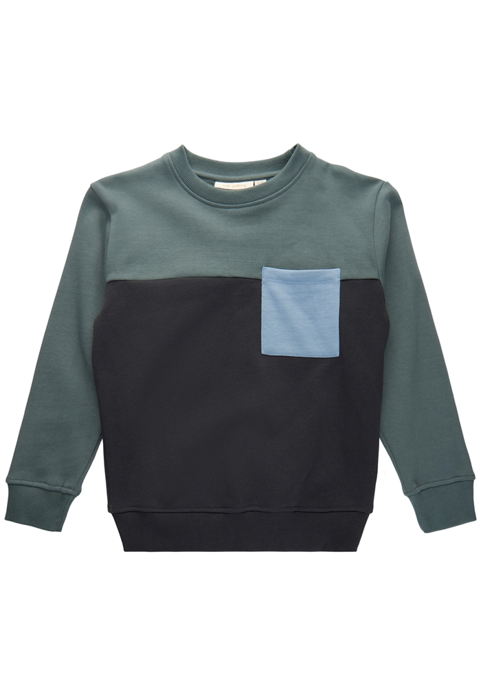 Soft Gallery Baptiste Block Sweatshirt - Balsam Green